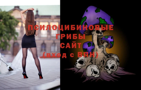 альфа пвп Куйбышев
