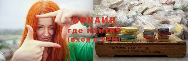 индика Новокубанск