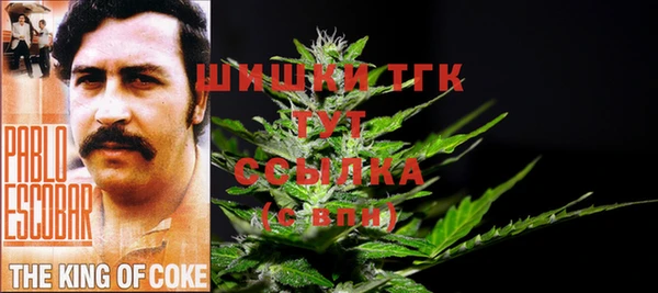 МДПВ Кукмор